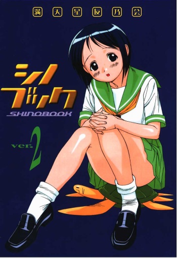 SHINOBOOK 2 cover