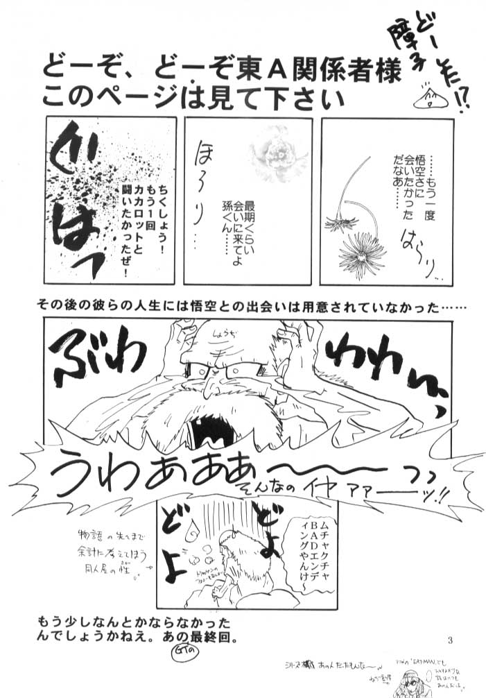 HOHETO page 4 full