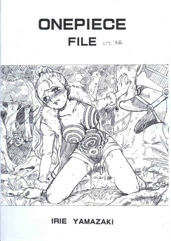 ONEPIECE FILE BIBI HEN cover