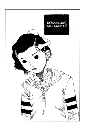 Embrion Collection cover