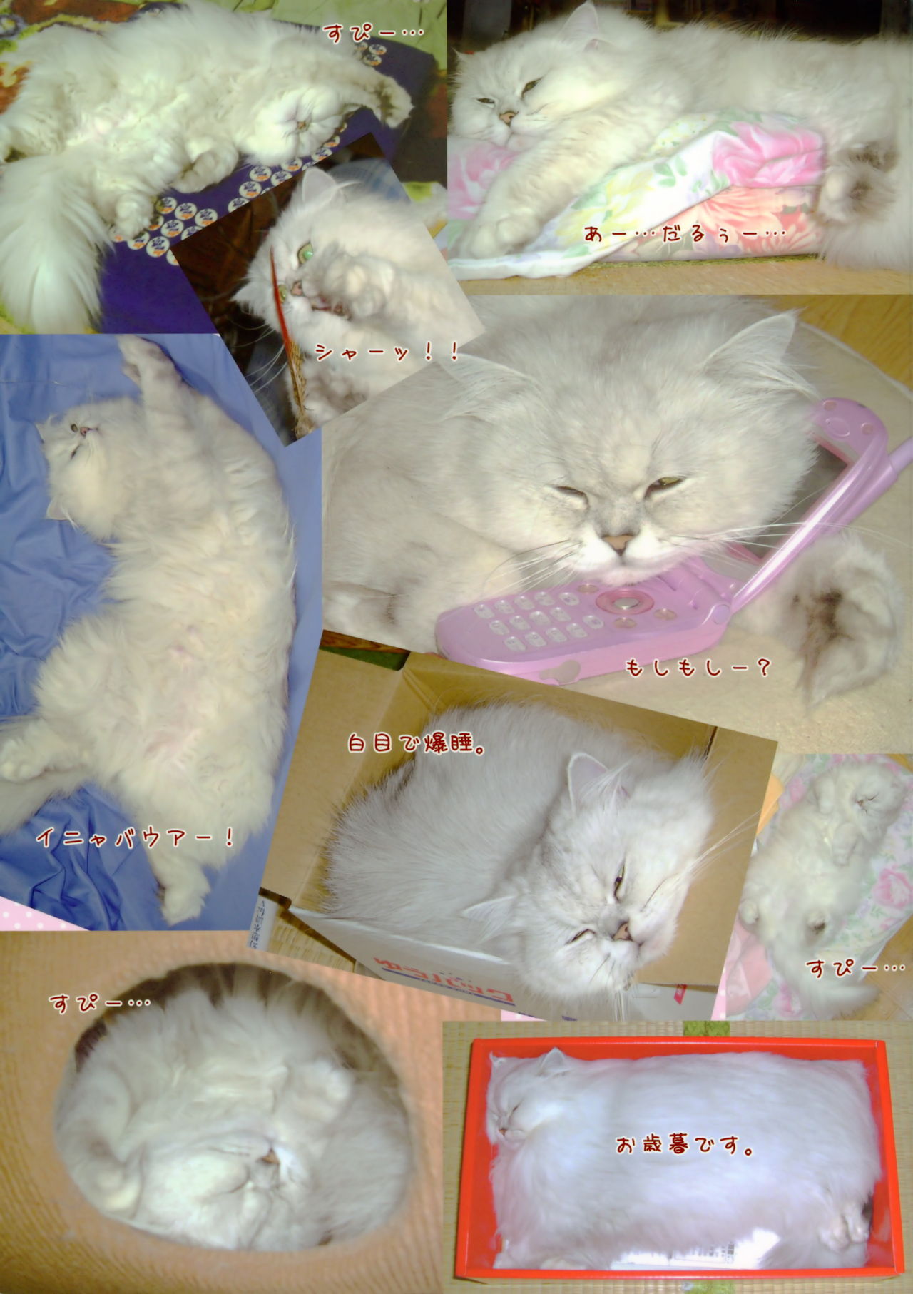 Artworks 2003-2007 page 4 full
