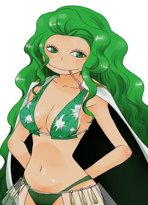 Random One Piece Hentai Pics page 7 full