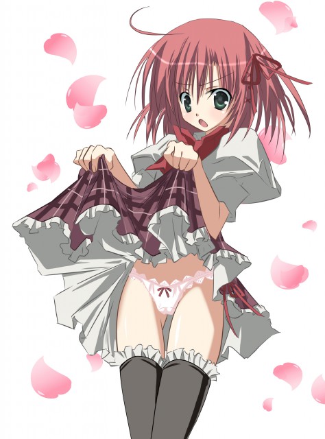 Seitokai no Ichizon Wallpaper page 2 full
