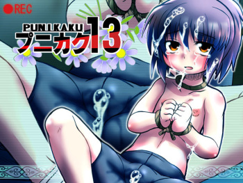 Punikaku 13 cover