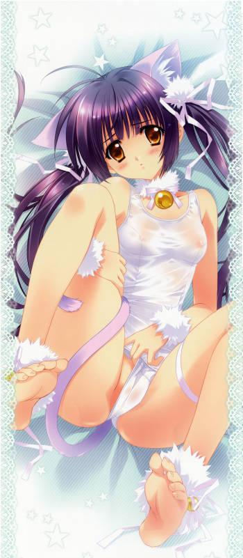 Carnelian 2010 Dakimakura Calendar cover