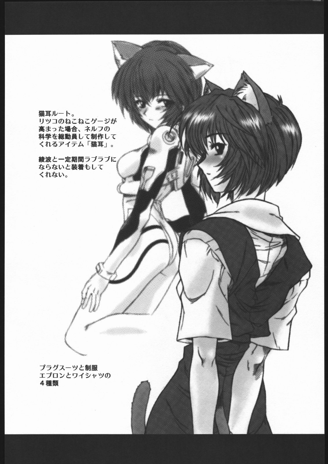Ayanami Ura Ikusei Keikakusho Daiichiji Houkokusho page 4 full
