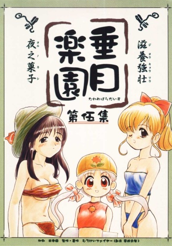Tareme Paradise 5 cover