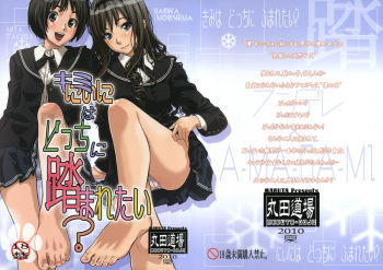 Kimi wa Docchi ni Fumaretai? cover
