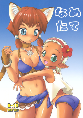 Nametate cover