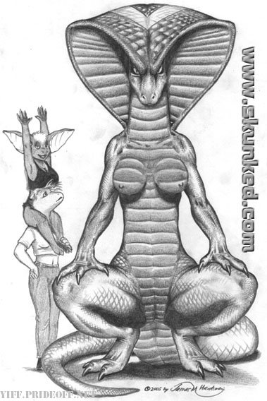 My Dragon Gallery Part 7 page 2 full