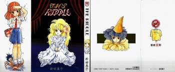 THE RIDDLE cover