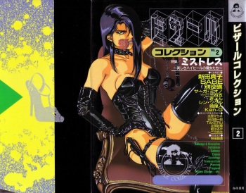Bizarre Collection 2 cover