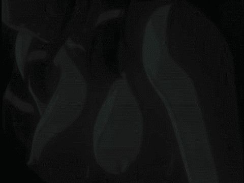 Animated gifs set 5 page 2 full