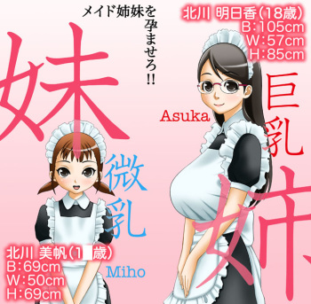 Maid Shimai o Haramasero!! cover