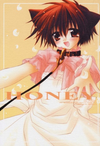HONEY cover