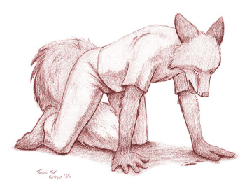 My yiff gallery 1 cover