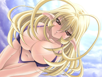 H - Pictures 18 cover