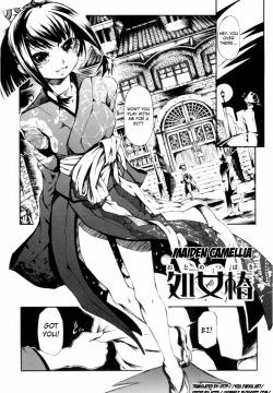 Otometsubaki | Maiden Camellia