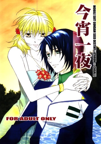 Koyoi Ichiya cover