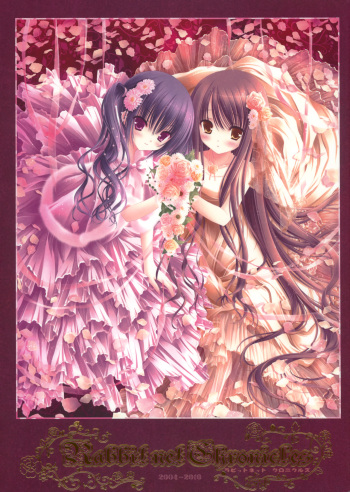 Rabbit.net Chronicles 2004-2010 cover