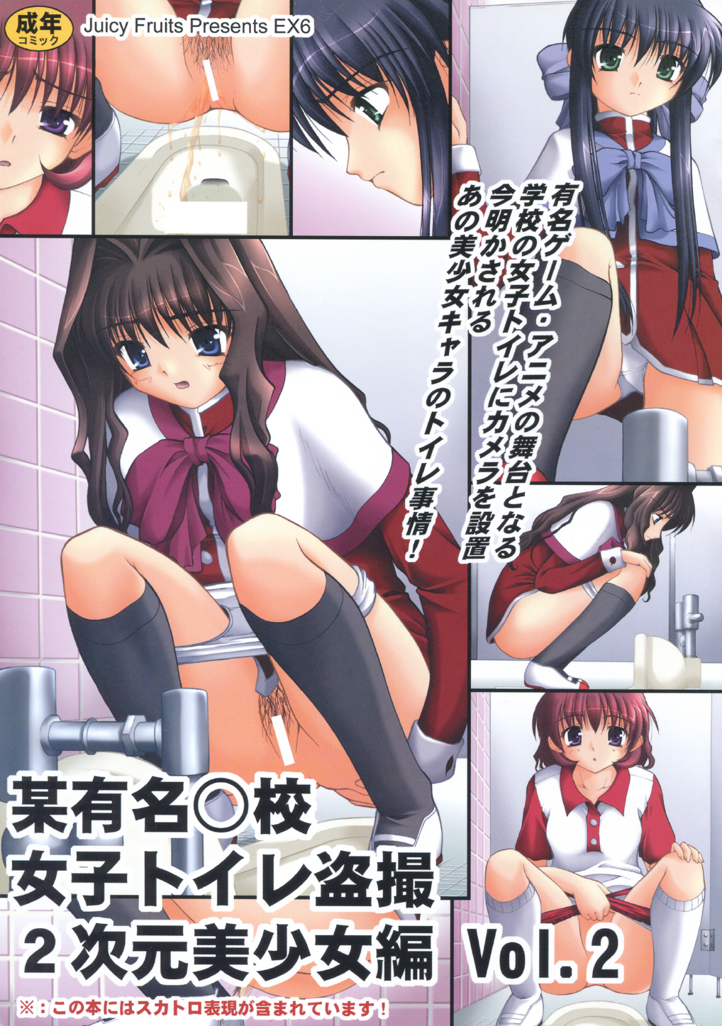 Bou Yuumei Koukou Joshi Toilet Tousatsu 2-jigen Bishoujo Hen Vol. 2 page 1 full