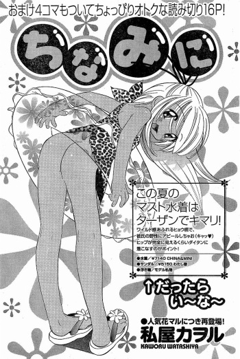 Chinamini cover