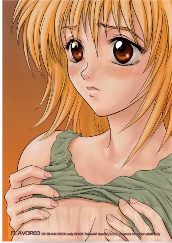 FLAVOR 03 cover