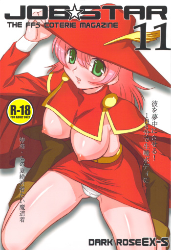 JOB STAR 11 cover