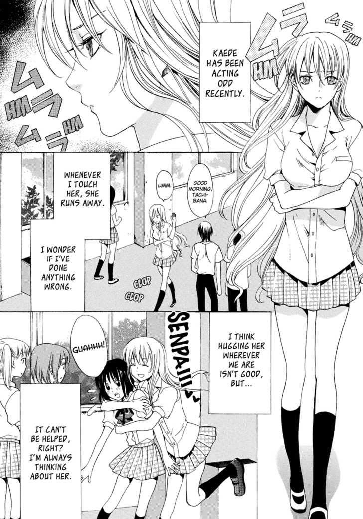 Wildrose page 4 full
