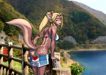 My Furry Colection 1 cover