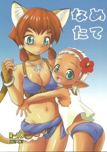 NAMETATE cover
