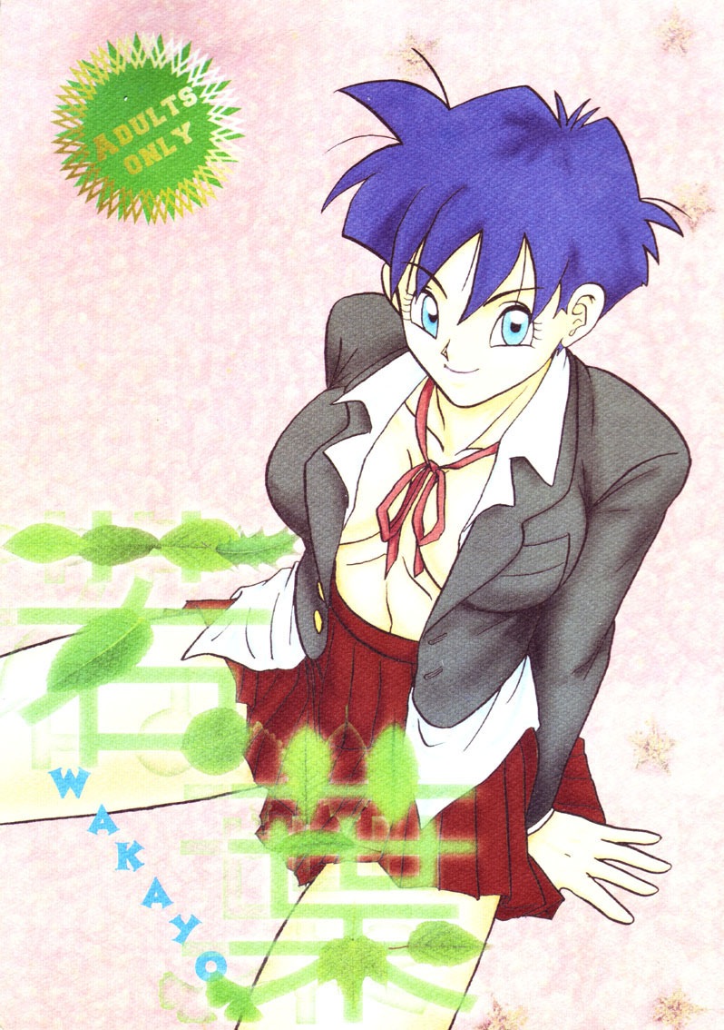 Dragon Ball Z - Wakayo page 1 full