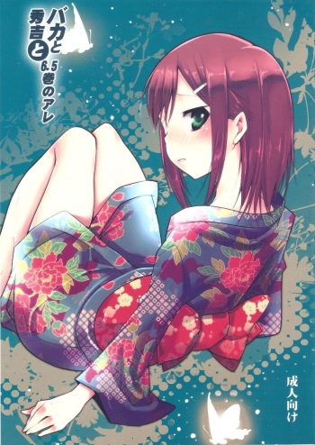 Baka to Hideyoshi to 6.5-Kan no Are cover