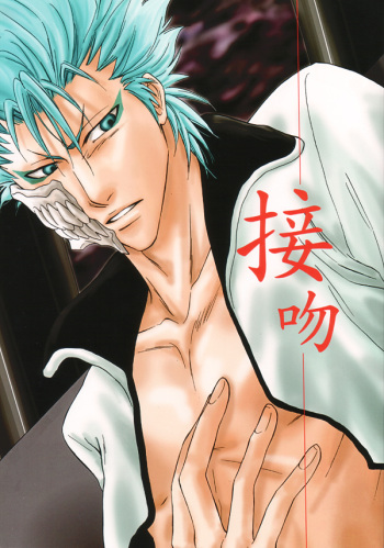 Seppun   YAOI cover