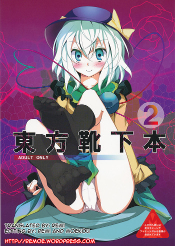 Touhou Kutsushita Bon 2 | Touhou Sock Book 2 cover