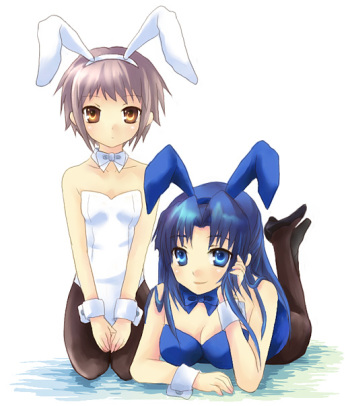 Assorted Ecchi Collection #046 cover