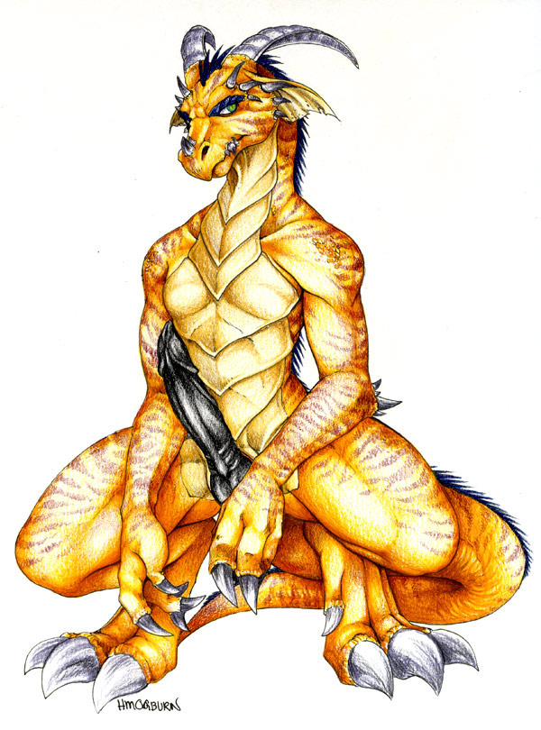 dragons page 4 full