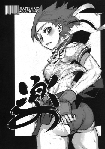 Raku cover