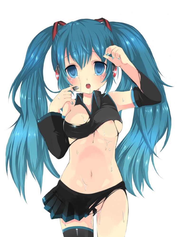 Hatsune Miku Eechi page 1 full