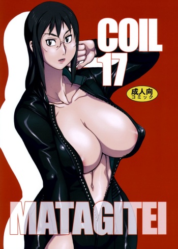 Coil 17 cover