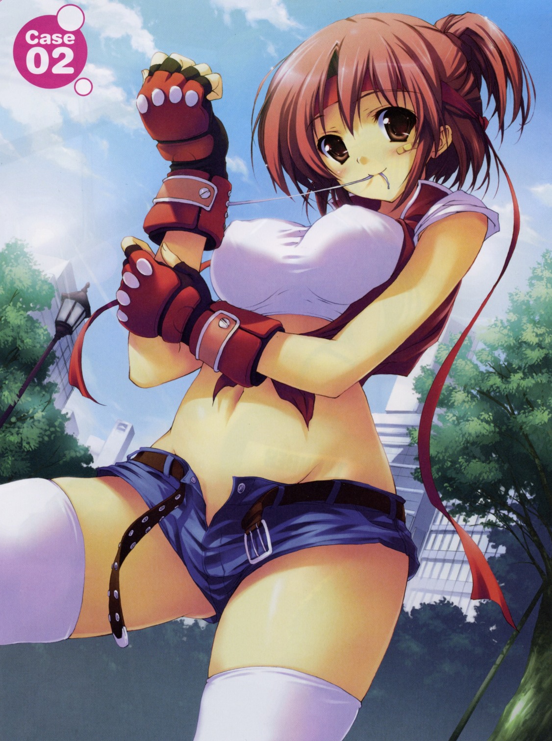 Tomose Shunsaku Collection page 10 full
