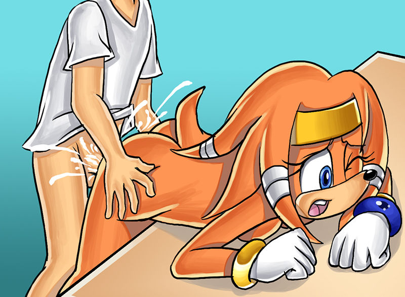 Large Sonic Collection- Tikal the Echidna page 7 full