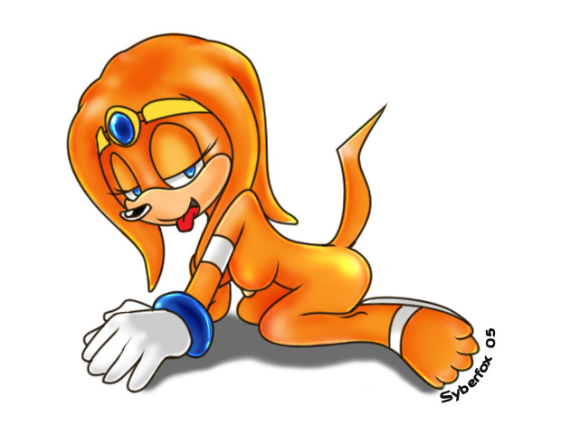 Large Sonic Collection- Tikal the Echidna page 9 full