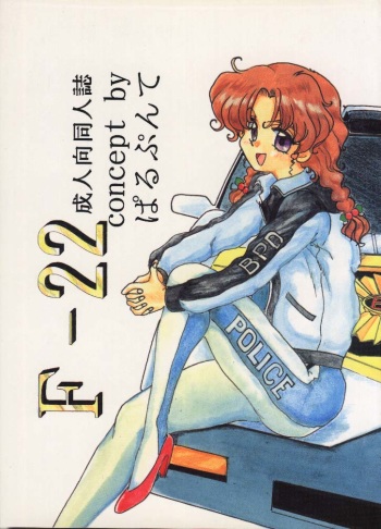 F-22 cover