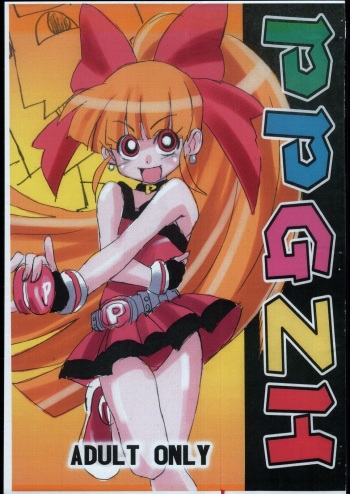PPGZH cover