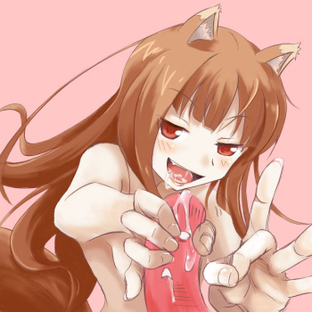 - Anime - Spice and Wolf - Horo cover
