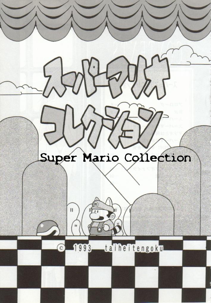 Super Mario Collection page 5 full
