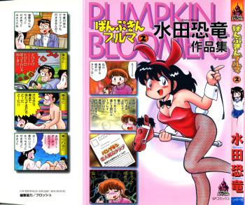 PUMPKIN BLOOMERS 2 cover