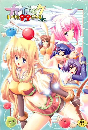 Kaishaku Level 99 ni Naru Hon cover