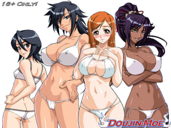 Bleach cover